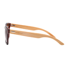 Load image into Gallery viewer, Newport B1039-2 Classic Polarized Tinted Sunglasses Brown