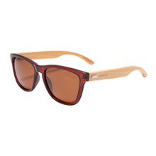 Load image into Gallery viewer, Newport B1039-2 Classic Polarized Tinted Sunglasses Brown
